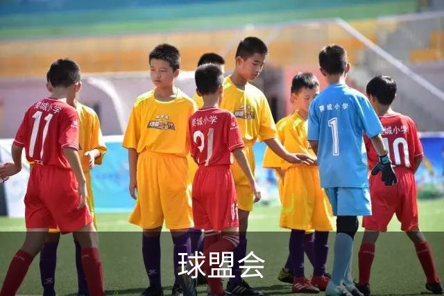 球盟会公司介绍图片
